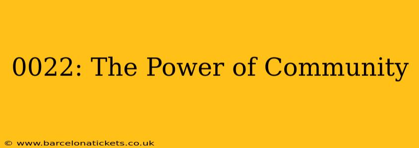 0022: The Power of Community