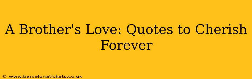 A Brother's Love: Quotes to Cherish Forever