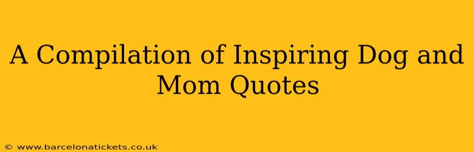 A Compilation of Inspiring Dog and Mom Quotes