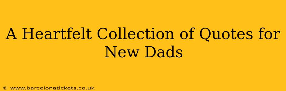 A Heartfelt Collection of Quotes for New Dads