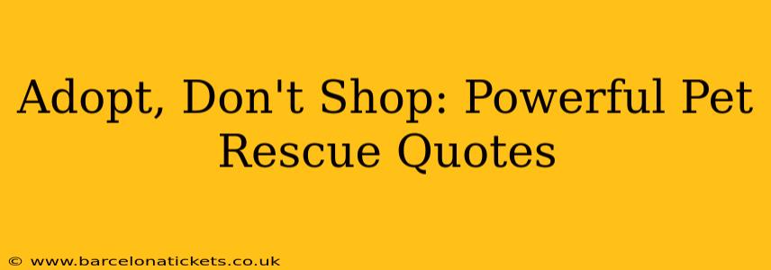 Adopt, Don't Shop: Powerful Pet Rescue Quotes