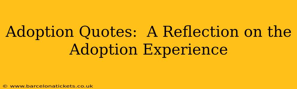 Adoption Quotes:  A Reflection on the Adoption Experience