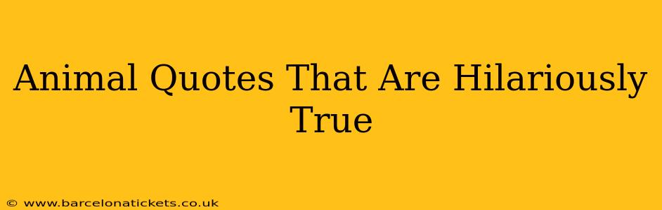 Animal Quotes That Are Hilariously True