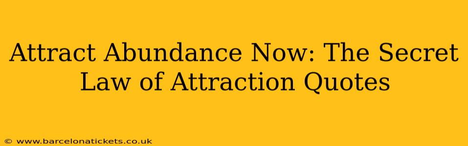 Attract Abundance Now: The Secret Law of Attraction Quotes