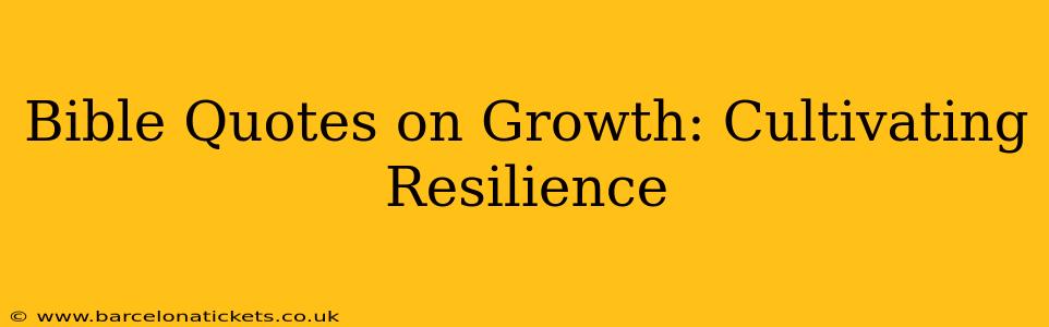 Bible Quotes on Growth: Cultivating Resilience