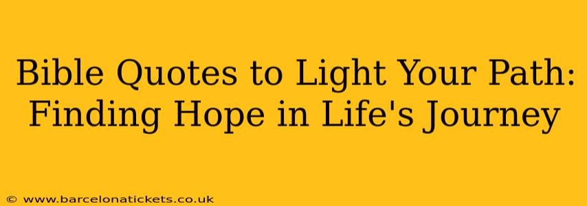 Bible Quotes to Light Your Path: Finding Hope in Life's Journey