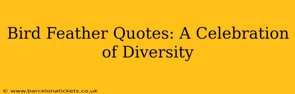 Bird Feather Quotes: A Celebration of Diversity