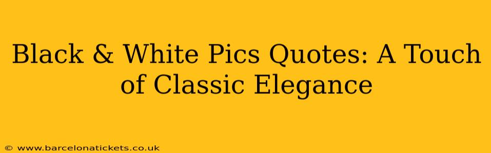 Black & White Pics Quotes: A Touch of Classic Elegance