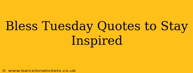 Bless Tuesday Quotes to Stay Inspired