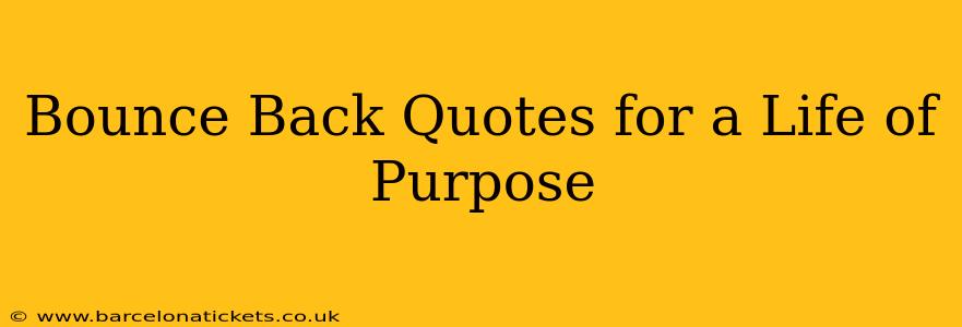 Bounce Back Quotes for a Life of Purpose