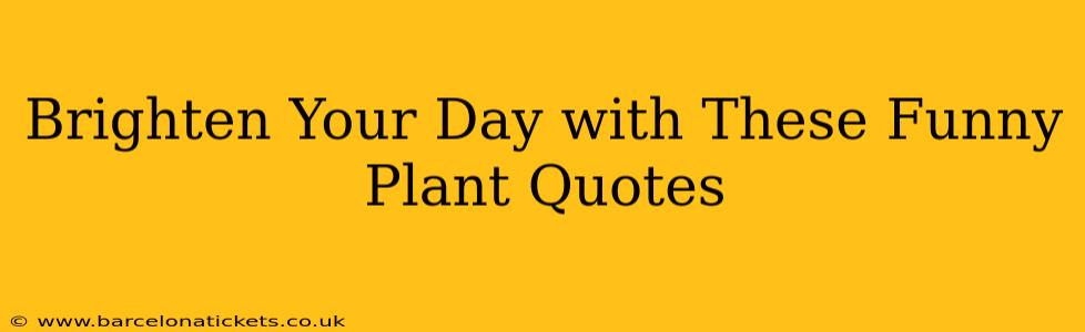 Brighten Your Day with These Funny Plant Quotes