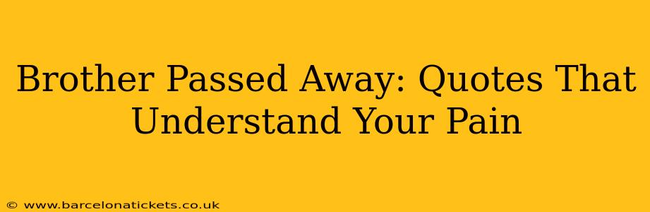 Brother Passed Away: Quotes That Understand Your Pain
