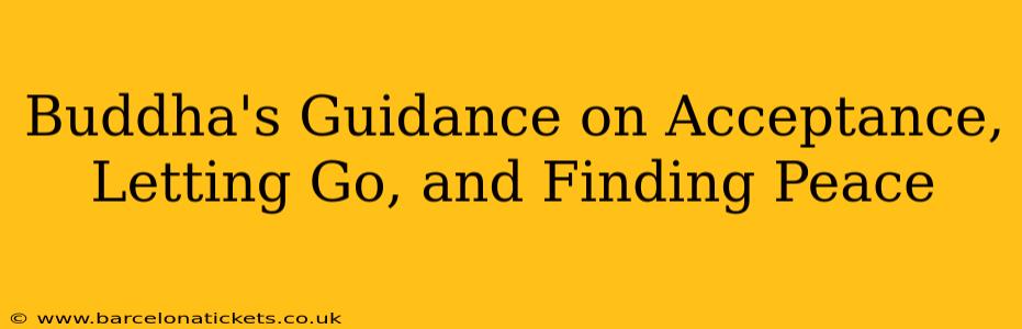 Buddha's Guidance on Acceptance, Letting Go, and Finding Peace