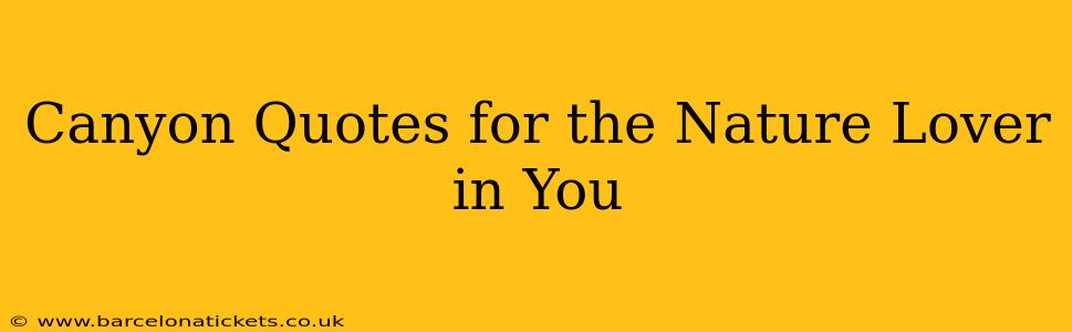 Canyon Quotes for the Nature Lover in You