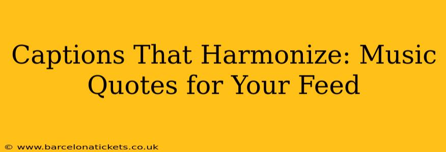 Captions That Harmonize: Music Quotes for Your Feed