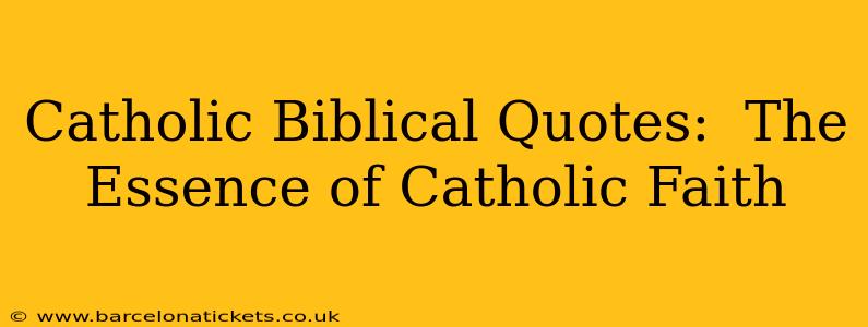 Catholic Biblical Quotes:  The Essence of Catholic Faith