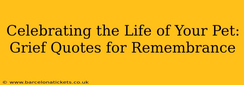 Celebrating the Life of Your Pet: Grief Quotes for Remembrance