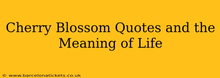 Cherry Blossom Quotes and the Meaning of Life