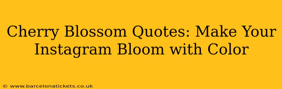 Cherry Blossom Quotes: Make Your Instagram Bloom with Color