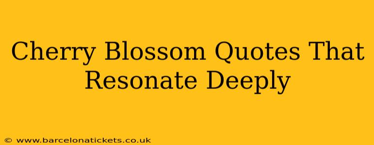 Cherry Blossom Quotes That Resonate Deeply
