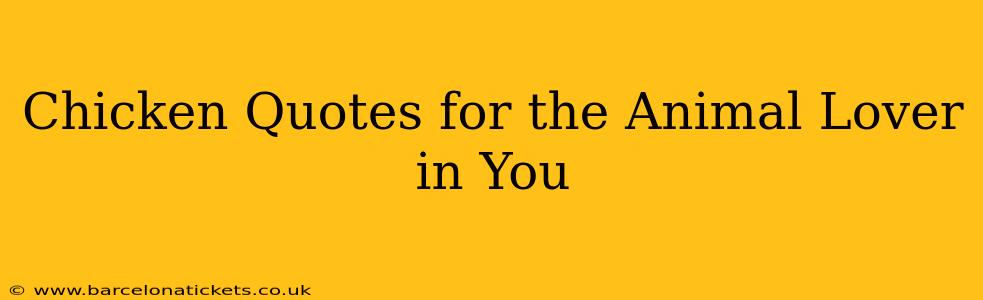 Chicken Quotes for the Animal Lover in You