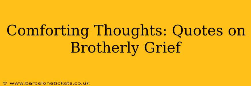 Comforting Thoughts: Quotes on Brotherly Grief