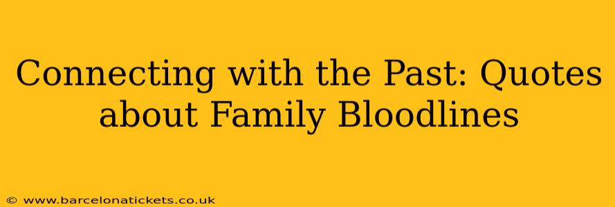 Connecting with the Past: Quotes about Family Bloodlines