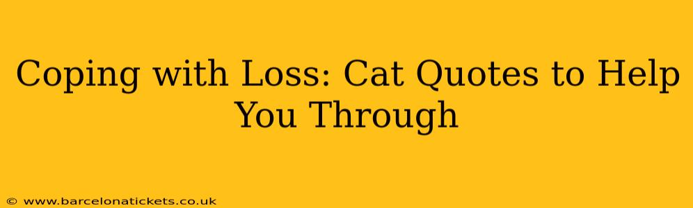 Coping with Loss: Cat Quotes to Help You Through
