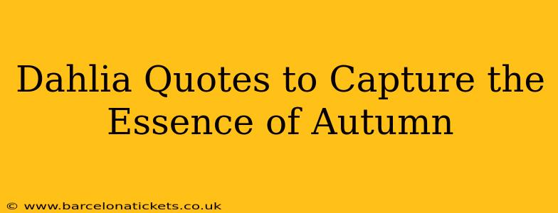 Dahlia Quotes to Capture the Essence of Autumn