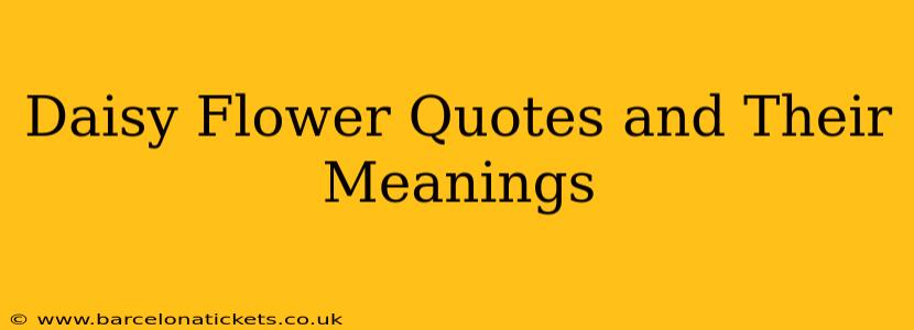 Daisy Flower Quotes and Their Meanings