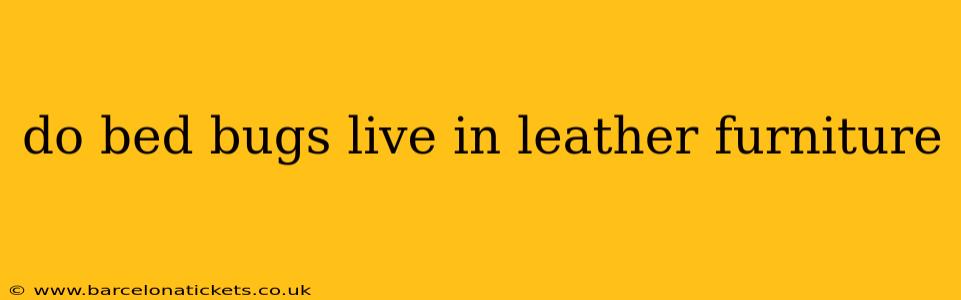 do bed bugs live in leather furniture