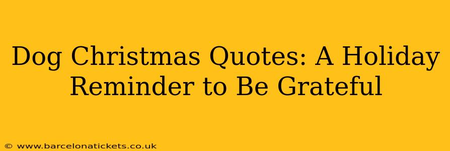 Dog Christmas Quotes: A Holiday Reminder to Be Grateful