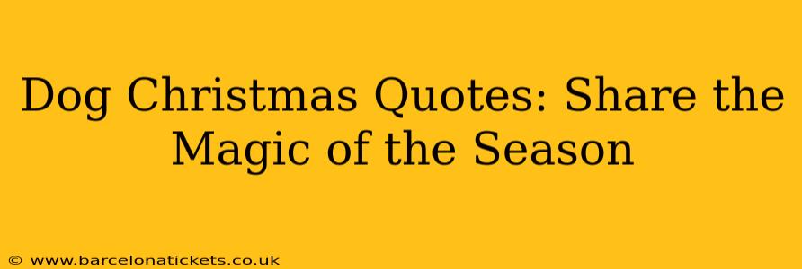 Dog Christmas Quotes: Share the Magic of the Season