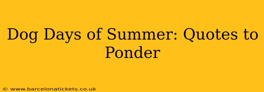 Dog Days of Summer: Quotes to Ponder