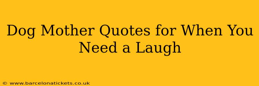 Dog Mother Quotes for When You Need a Laugh