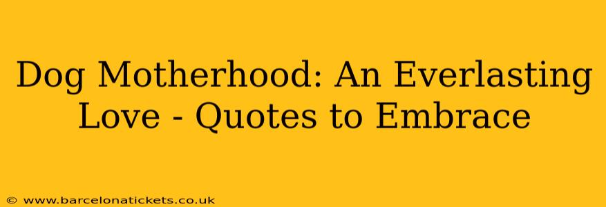 Dog Motherhood: An Everlasting Love - Quotes to Embrace