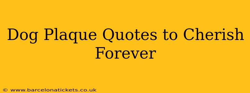 Dog Plaque Quotes to Cherish Forever