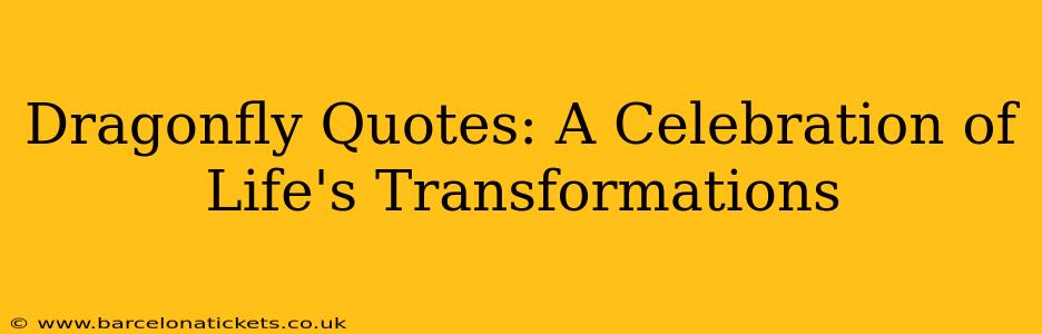 Dragonfly Quotes: A Celebration of Life's Transformations
