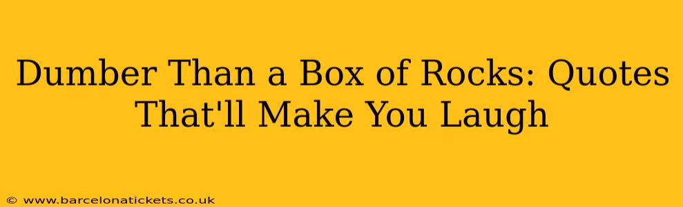 Dumber Than a Box of Rocks: Quotes That'll Make You Laugh