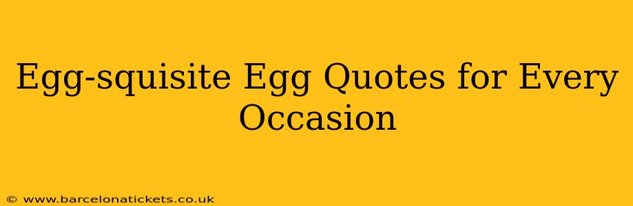 Egg-squisite Egg Quotes for Every Occasion