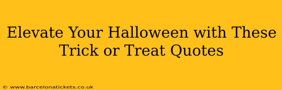 Elevate Your Halloween with These Trick or Treat Quotes