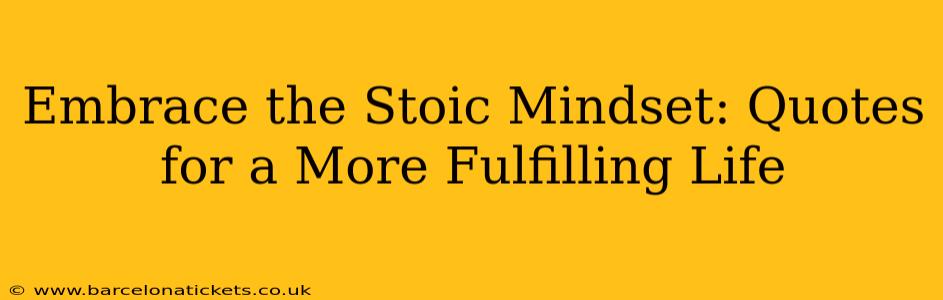 Embrace the Stoic Mindset: Quotes for a More Fulfilling Life