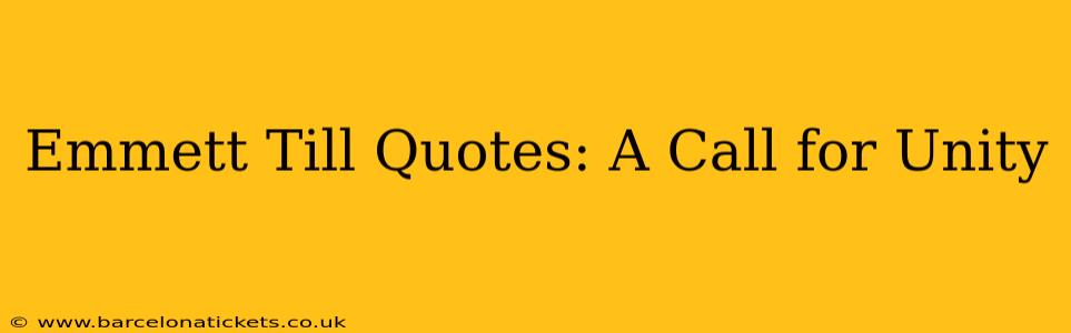 Emmett Till Quotes: A Call for Unity
