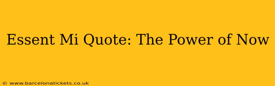Essent Mi Quote: The Power of Now