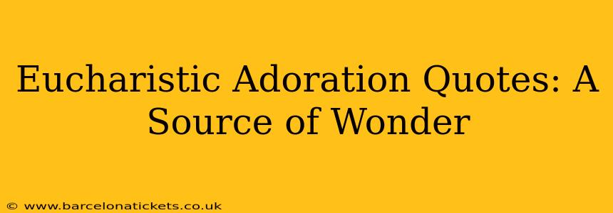 Eucharistic Adoration Quotes: A Source of Wonder