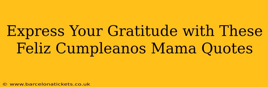 Express Your Gratitude with These Feliz Cumpleanos Mama Quotes