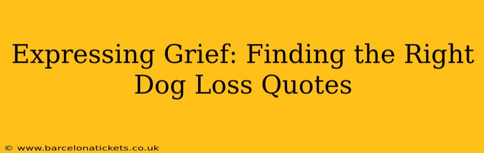 Expressing Grief: Finding the Right Dog Loss Quotes