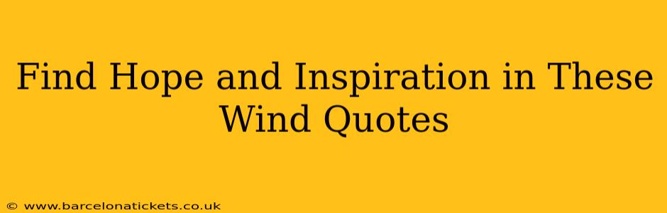 Find Hope and Inspiration in These Wind Quotes