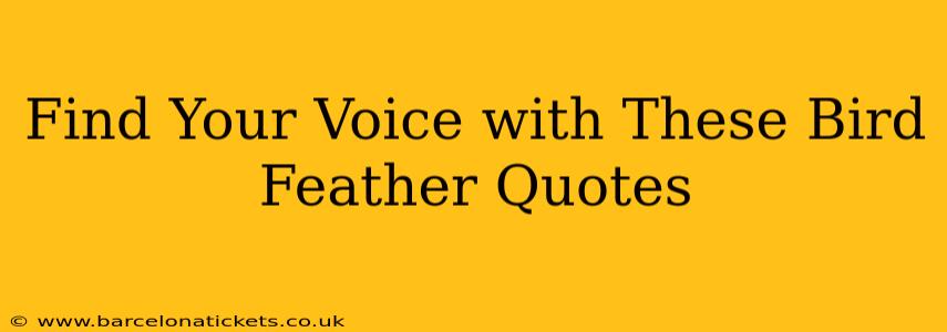 Find Your Voice with These Bird Feather Quotes