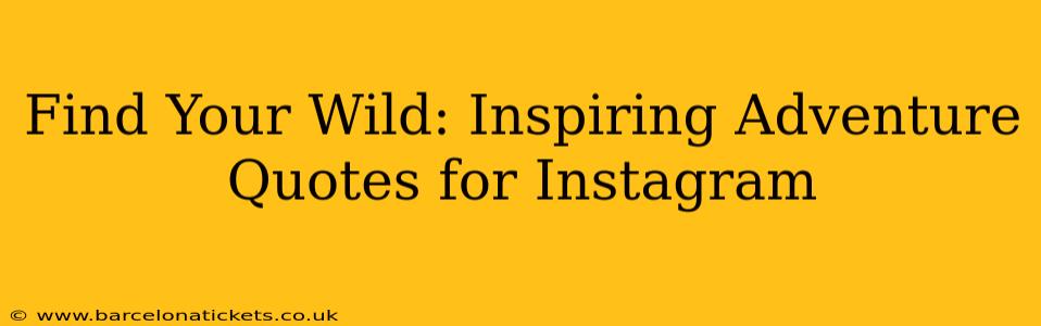 Find Your Wild: Inspiring Adventure Quotes for Instagram